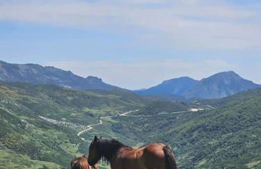 La Casina Del Alce - Foto 60