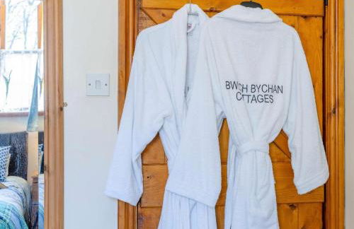 1 Bed in Llanybydder oc-81354 - Photo 11