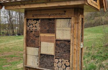 Ferienwohnung Zum Alten Cafè - Photo 52