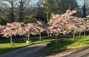 Chiltern Studio - Foto 26