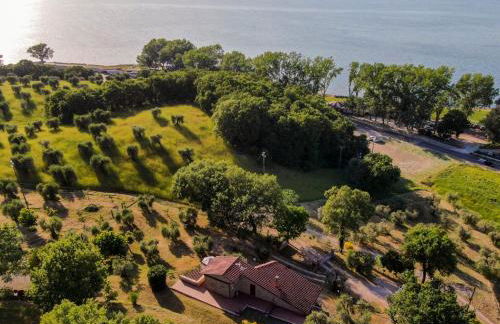 Villa Profumo di Salvia - Photo 39