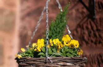 Easter Cottage -4 Bed Converted Barn Cottage - Foto 7