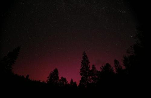 Domek w lesie DiABELSKi KOCiOŁEK - Foto 16