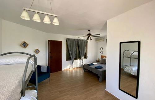 LAS PALMERAS - Foto 62