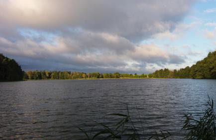 Dom Wakacyjny Kuszewo - Foto 29