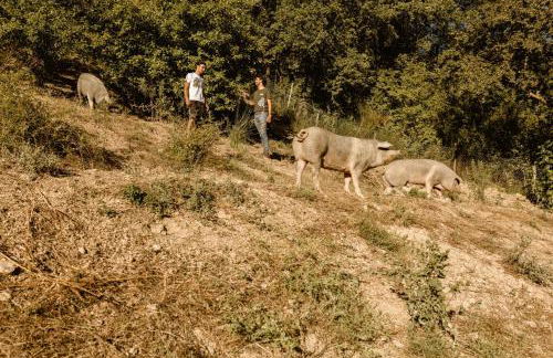 Agriturismo Le Radici - Foto 25