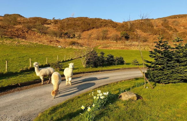Newland Valley Log Cabins - Foto 32