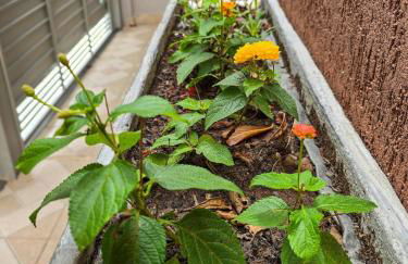 1 Apto prático e moderno SP Expo Zoo Simba Safari Congonhas - Foto 4