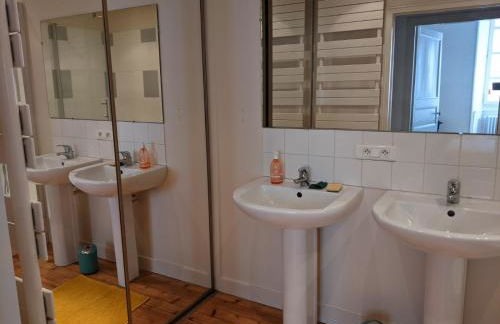 Logis ville, 24h Mans, zoo, prytanée, golfe, 6 pers - Photo 9