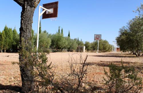 Casas Rurales el Palomar - Foto 25