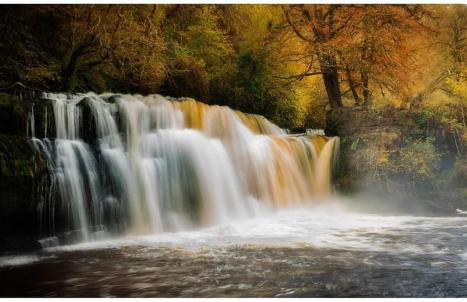 43 Bbescapes - Photo 12