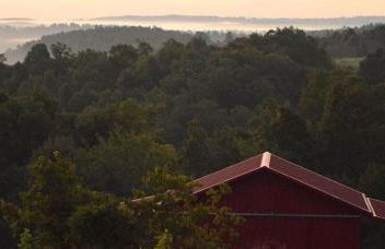 Secluded Cabin on Organic Working Farm in the Ozarks of Northern Arkansas - Foto 28