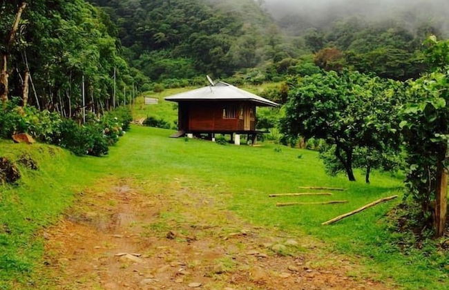 Lemon House Monteverde - Foto 10