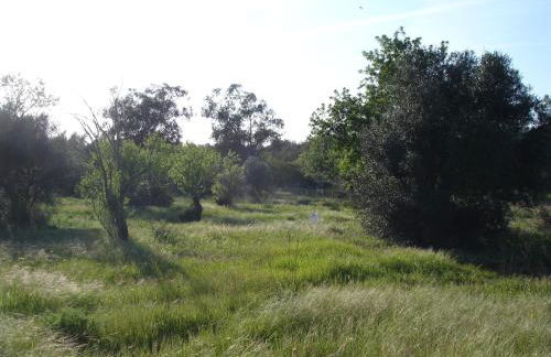 A country house near the beach - Photo 38