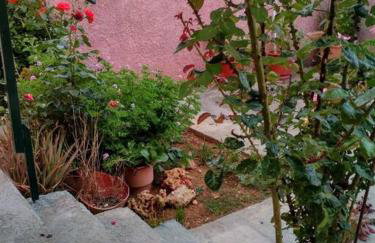 Kokkooning - Foto 19