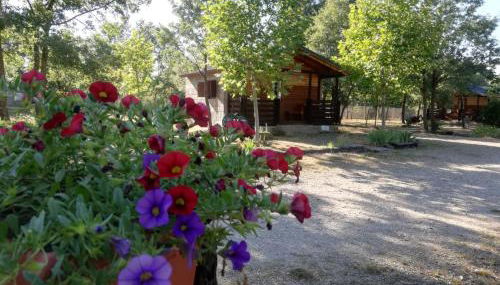 Cabañas Vallecino - Foto 4