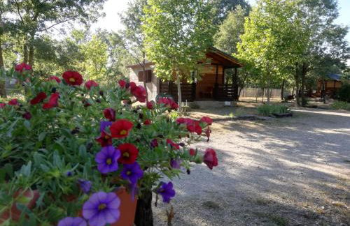 Cabañas Vallecino - Foto 4