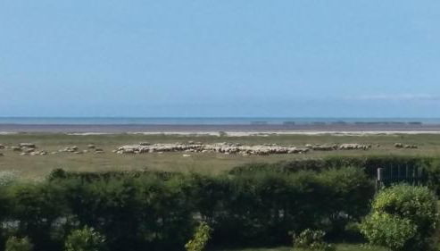 Chez Arthur - Photo 2