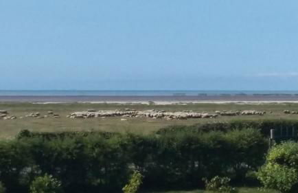 Chez Arthur - Foto 2