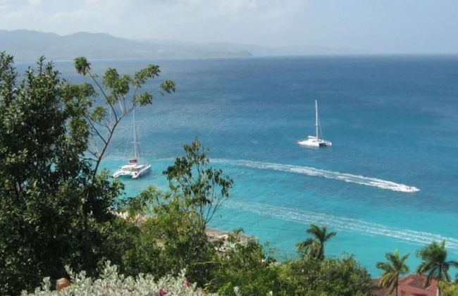 Court Manor at Montego Bay Club - Foto 56