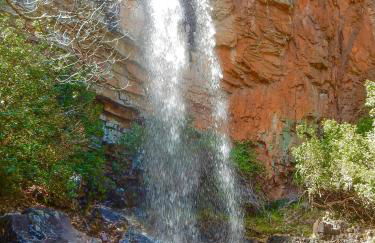 Alojamiento Turístico La alegría de la huerta - Foto 49