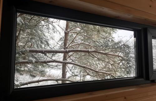 Na skraju gaju - Foto 21