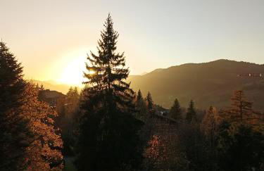 Le green d'Arbois - Ski à pied - Foto 11