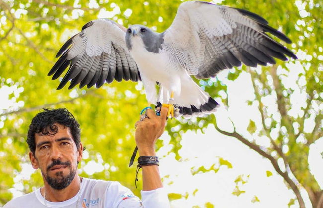 Excursion au parc des faucons - Photo 4