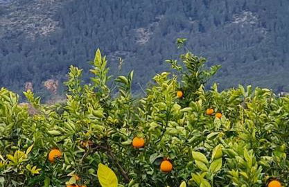 Casa Nirvana - Foto 29