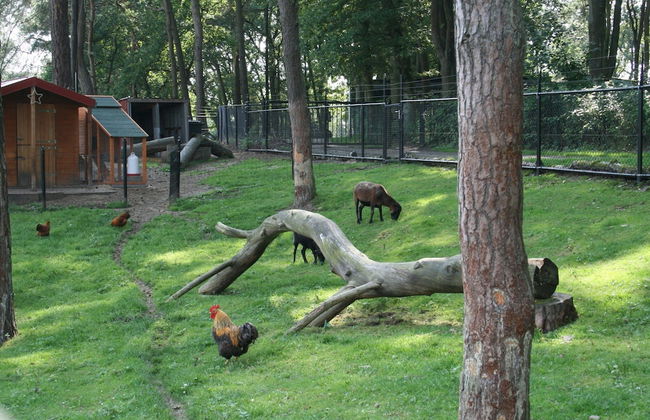 Wooden Chalet With Terrace and Microwave - Photo 21