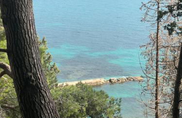 Kipos Mon Repos - Foto 6