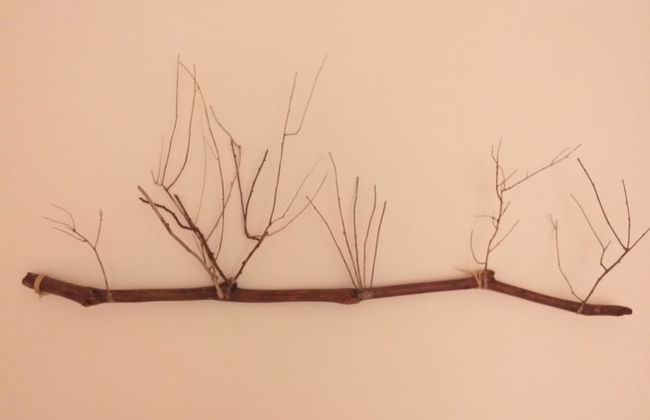 Swyn - The Flat Close To The Beach - Foto 5