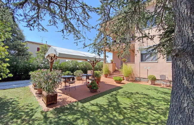 La Mimosa - Photo 54