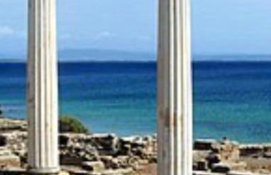 Windsurf Beach Front - Photo 33