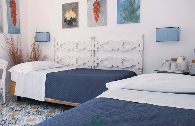 Fattoria Terranova - Foto 26