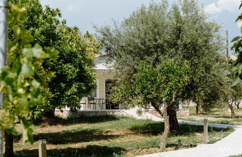 Oikies Verde - Foto 58