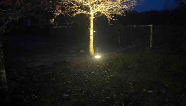 Tour du Bignon 30 beds 2 cottages 15 - Photo 2