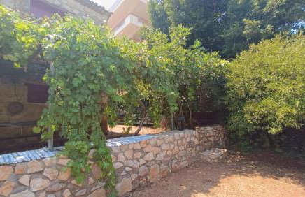 Traditional olive house - Gargalianoi - Foto 47