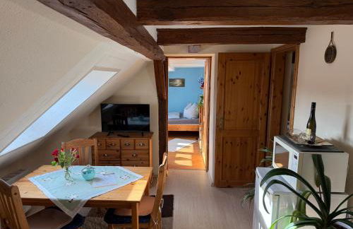 Schöne Ferienwohnung im Erholungsort Sternberg - Foto 16