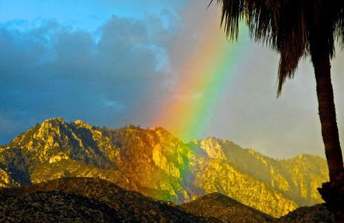 Sundance Villas by Private Villa Management - Photo 50