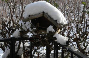 Gite Le Mandlé - Photo 14