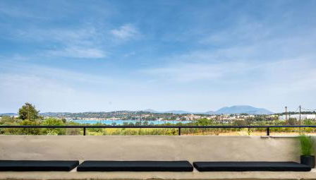 Orange Tree - Photo 2