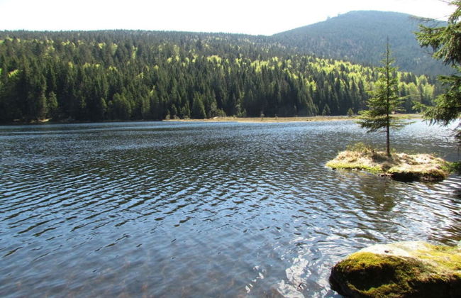 Nice Apartment in Bodenmais - Foto 12