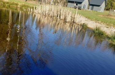 Leśny Reset - Foto 2