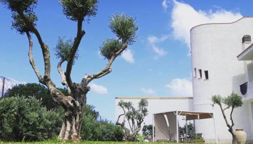 Villa Eagle - Foto 1, Garden