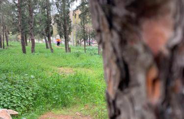 Lillian’s House - Foto 68