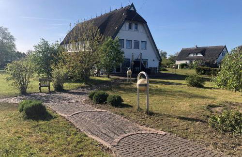 Süderhaus Hiddensee App 13 - Foto 8