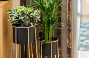 BoCa1 Appartamento Lago Iseo Franciacorta - Foto 7