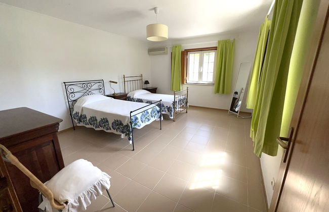 Herdade de Montalvo - Foto 21