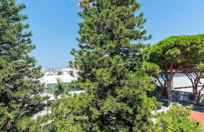 Jonathan City Apartments - Foto 20